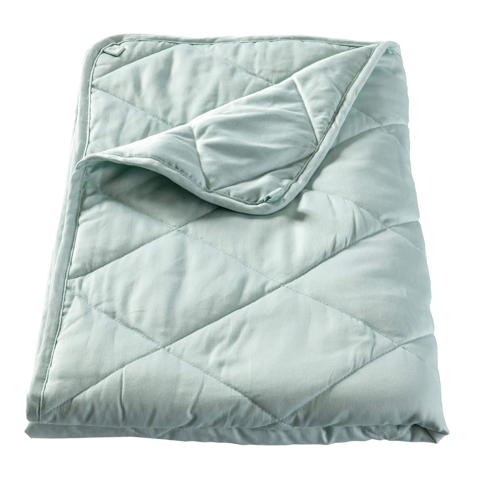 MEMBANTU orgaaniline raskustekk